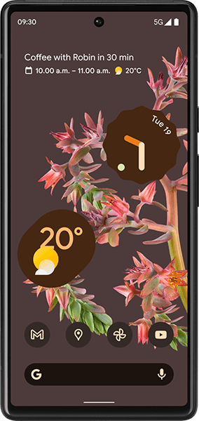 Google Pixel 6 256GB