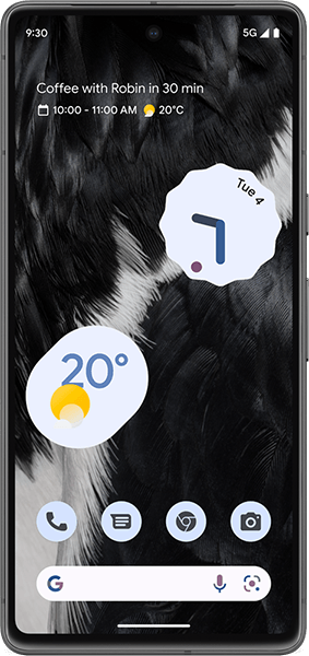 Google Pixel 7 256GB