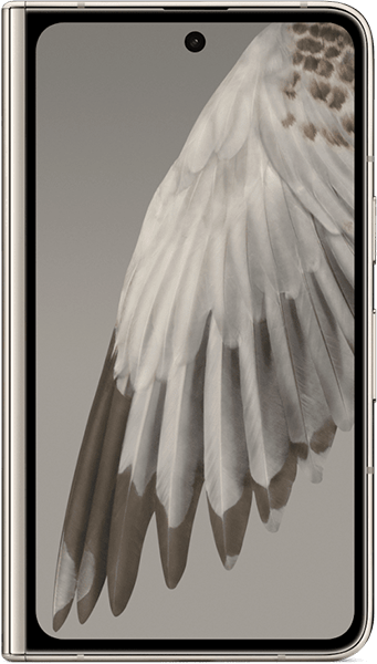 Google Pixel Fold