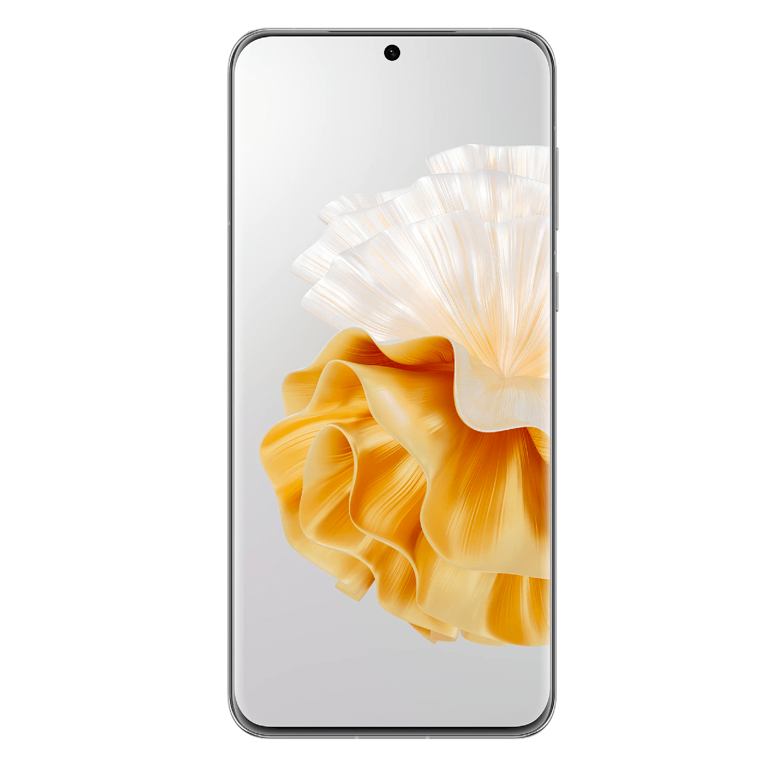 Huawei P60 Pro 256GB